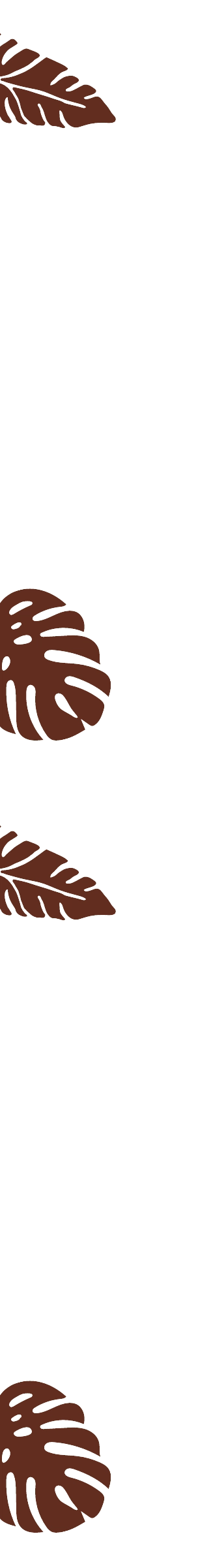 Brown leaf