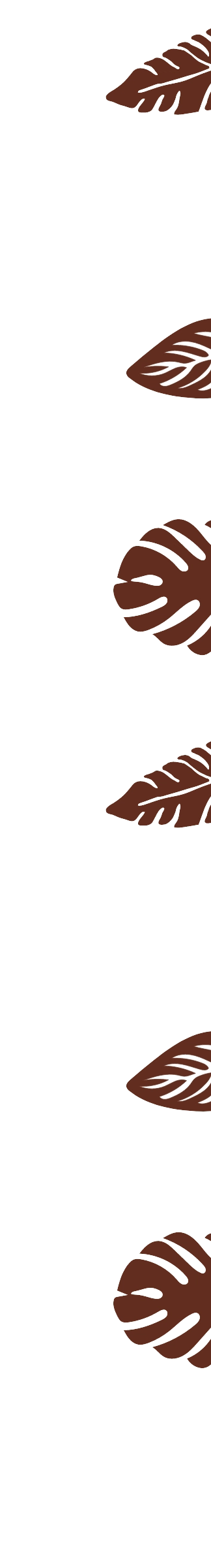 Brown leaf